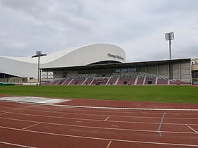 Pierre-Delort Stadium
