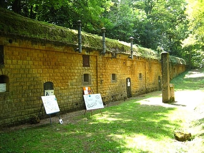 Group Fortifications of Aisne