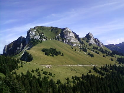 Mont Billiat