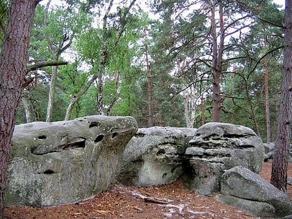 forest of fontainebleau