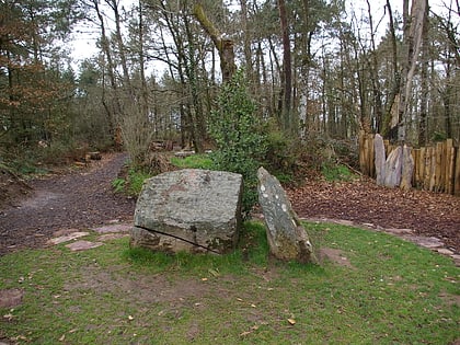 Bosque de Paimpont