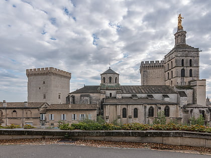 avignon cathedral