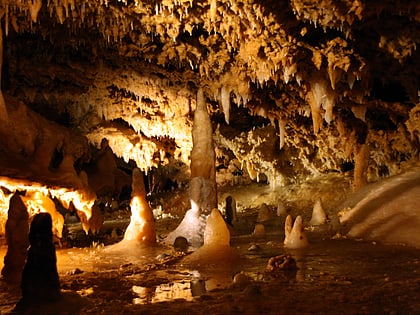 grotte du grand roc les eyzies de tayac sireuil