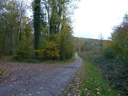 Forêt de Rouvray