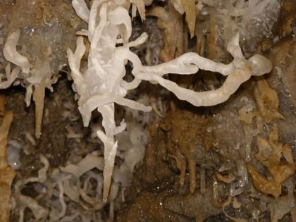 grotte de medous aste