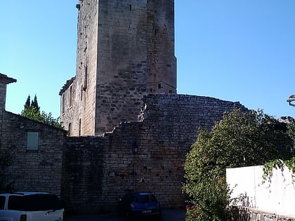ruines du chateau montclus