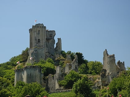 Burg Lavardin