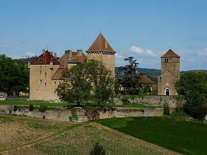 chateau de pierreclos