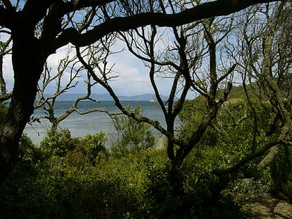 Parque nacional de Port-Cros