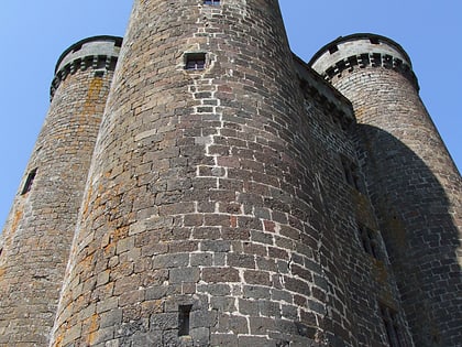 Burg Anjony
