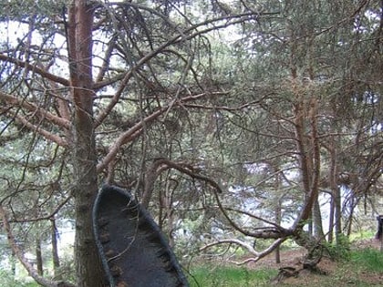 arboretum marcel kroenlein roure