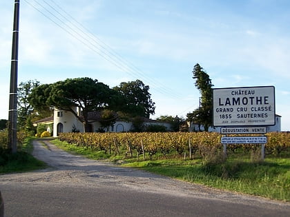 chateau lamothe sauternes