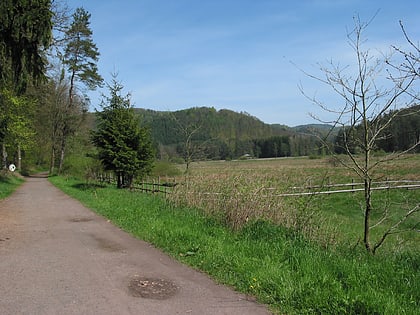 reserva de la biosfera del bosque del palatinado vosgos del norte
