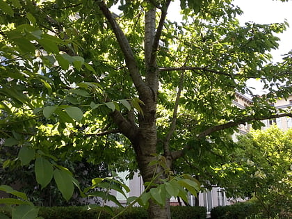 jardin botanico de los cordeliers digne les bains