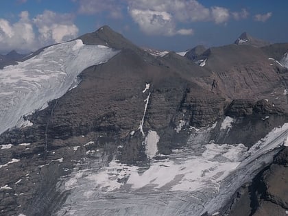 pointe de ronce