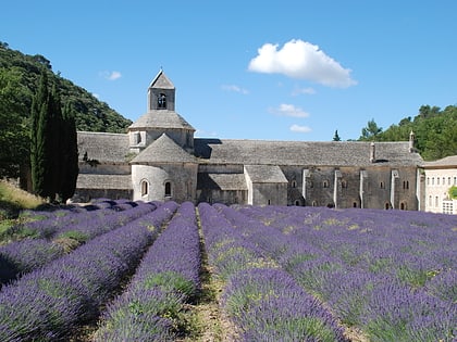 abadia de senanque gordes