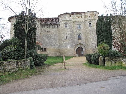 chateau de mauriac departement tarn