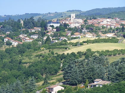 saint martin la plaine