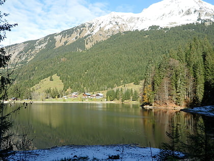 lac des plagnes abondance