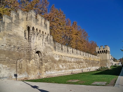 walls of avignon