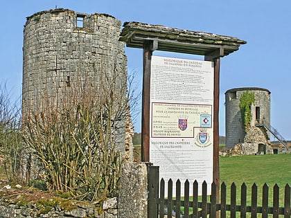 Château ducal de Villaines-en-Duesmois