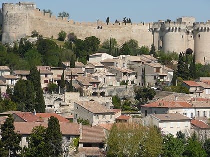 fort saint andre avignon