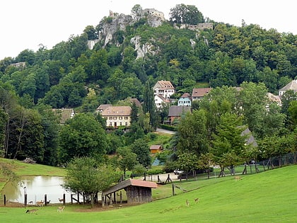 Burg Hohenpfirt