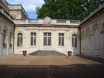 musee calvet avignon