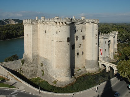 chateau de tarascon