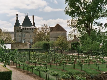Château de Talcy