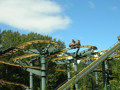Tiger Express Roller Coaster