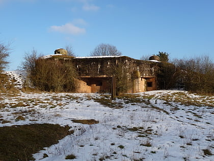 ouvrage lembach biospharenreservat pfalzerwald vosges du nord