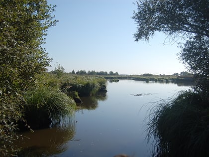 Regionaler Naturpark Brière