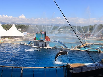 marineland w antibes