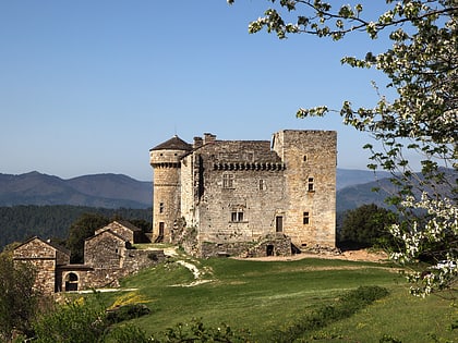Château du Chaylard