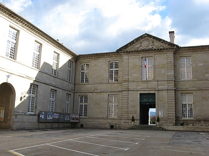 musee goya castres