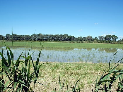 Parc naturel régional de Camargue