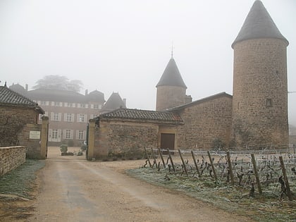 chateau de chasselas leynes