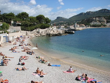 cassis