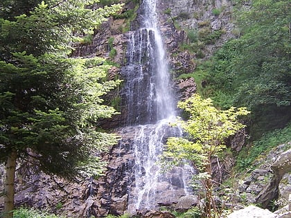 la valla en gier rezerwat przyrody saint etienne gorges de la loire