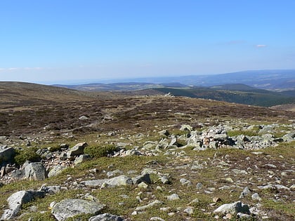 sommet de finiels parc national des cevennes