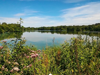 condette marais audomarois