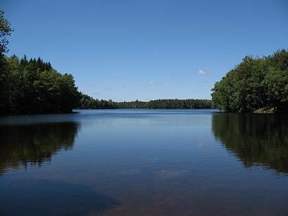 faux la montagne