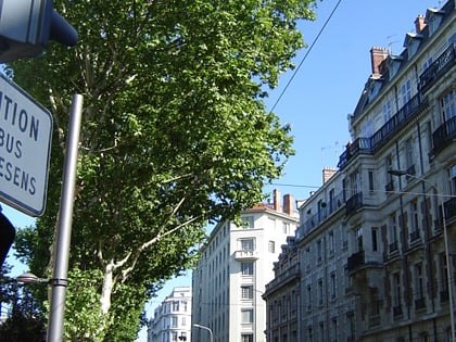 boulevard des belges lyon