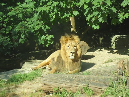 Zoo Mülhausen