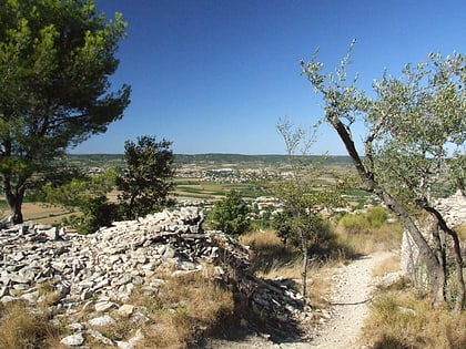 oppidum de roque de viou