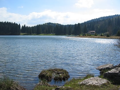 Lac Genin