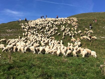 Ferme Auberge du Pre Velard