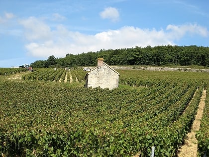 burgundy wine vosne romanee