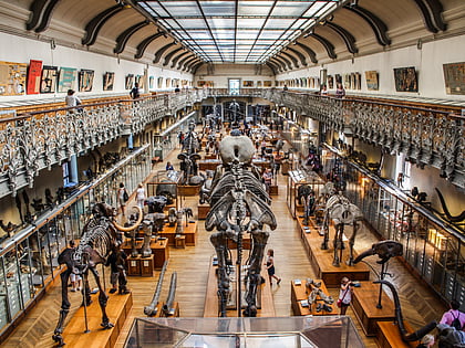 galeria de paleontologia y anatomia comparada paris